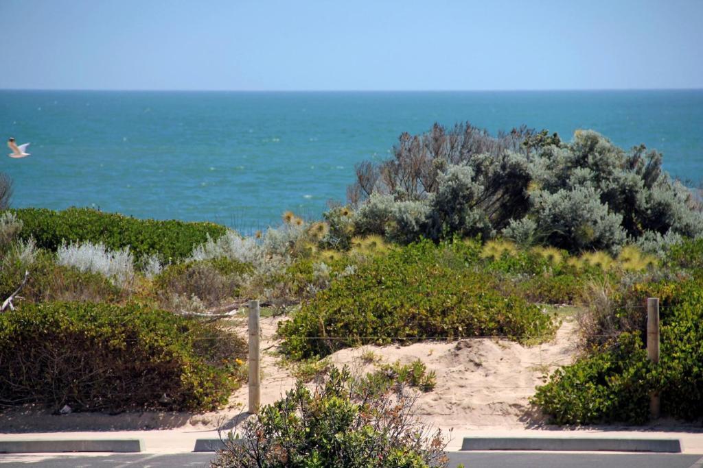Bunbury Welcome Inn Motel Rom bilde